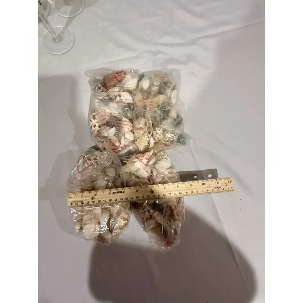 Lot of 4 Bags Assorted Natural Seashells with Cowries, Scallops & Decorative